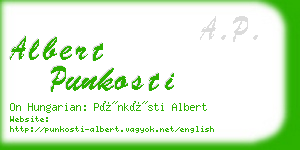 albert punkosti business card